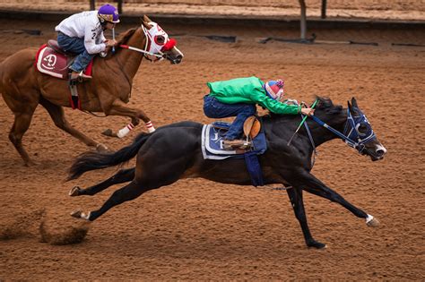 Ruidoso downs race track photos  Available for both RF and RM licensing